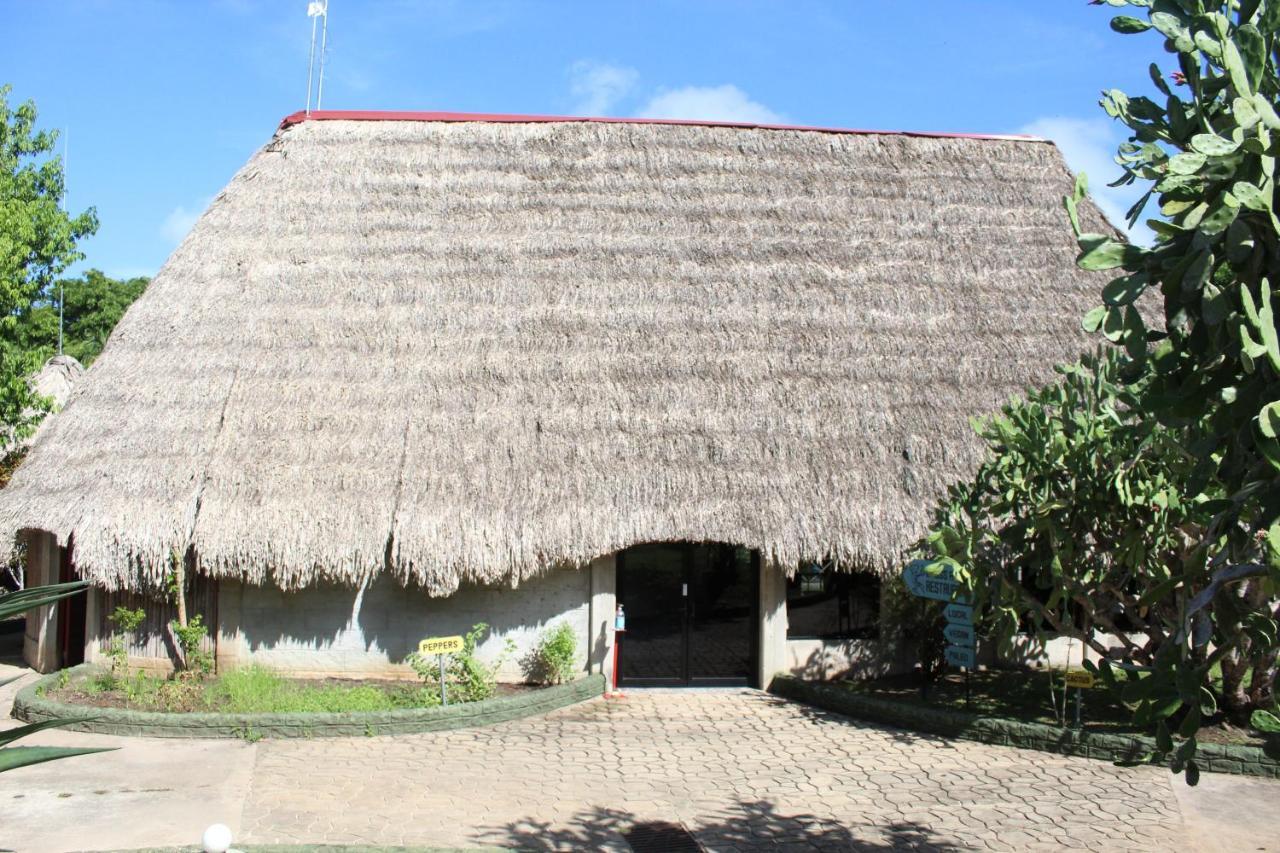 Calico Jack'S Resort Sayab Camp المظهر الخارجي الصورة